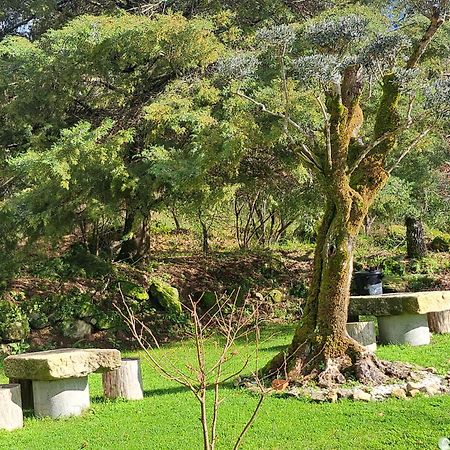 Solar De Almeidinha Mangualde Bagian luar foto
