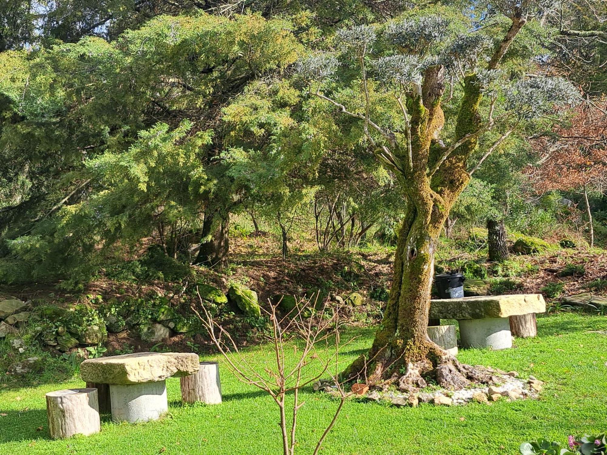 Solar De Almeidinha Mangualde Bagian luar foto